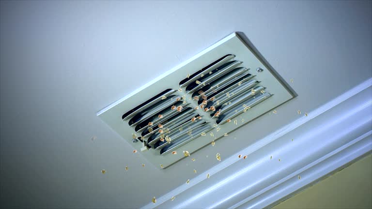 Best Air Duct Sanitizing Services  in East Highland Park, VA
