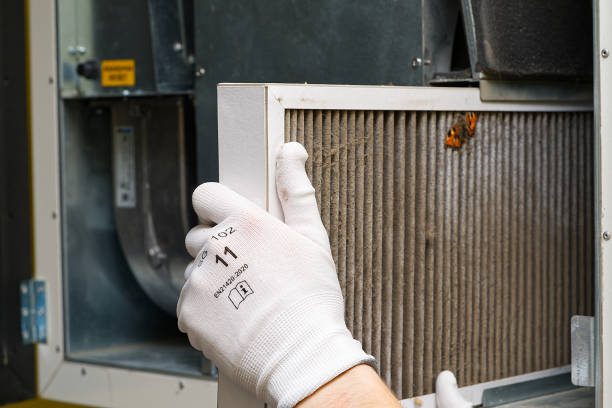 Best Ventilation Cleaning Services  in East Highland Park, VA