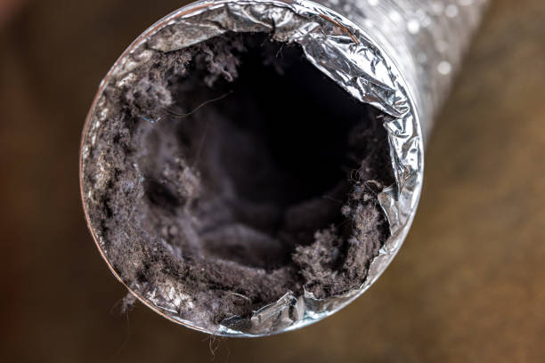 Best Professional Duct Cleaning Services  in East Highland Park, VA