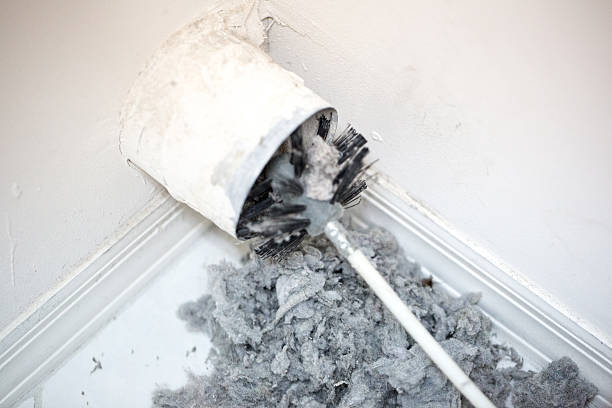 Best Dryer Vent Cleaning Services  in East Highland Park, VA