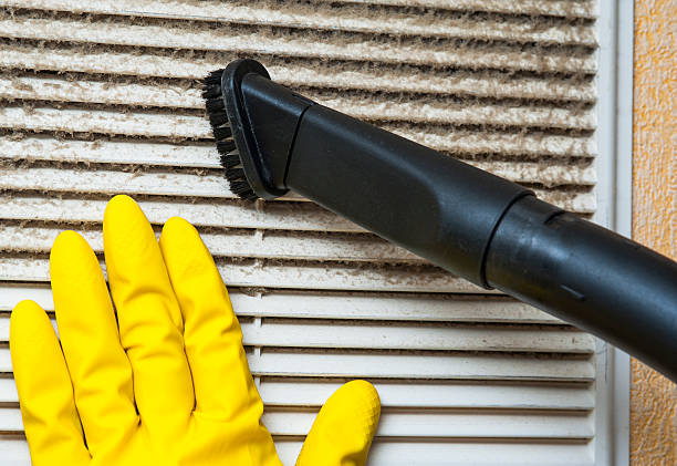 Best Residential Air Duct Cleaning  in East Highland Park, VA